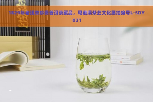 1829年老班章珍贵普洱茶藏品，粤港澳茶艺文化展拍编号L-SDY021