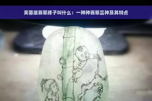 芙蓉底翡翠牌子叫什么：一种种翡翠品种及其特点