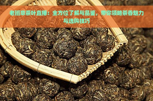 老班章茶叶直播：全方位了解与品鉴，带你领略茶香魅力与选购技巧