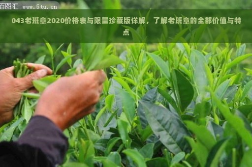 043老班章2020价格表与限量珍藏版详解，了解老班章的全部价值与特点