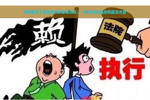 特殊情况下逾期贷款的全额归还：一种安逸且高效的解决方案