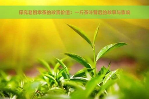 探究老班章茶的珍贵价值：一斤茶叶背后的故事与影响