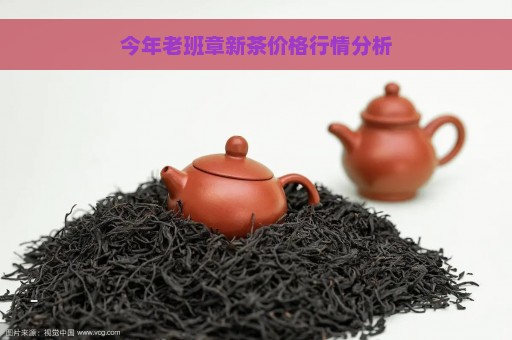 今年老班章新茶价格行情分析