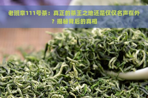 老班章111号茶：真正的茶王之地还是仅仅名声在外？揭秘背后的真相