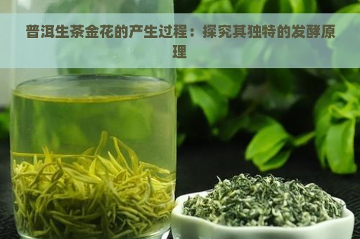 普洱生茶金花的产生过程：探究其独特的发酵原理