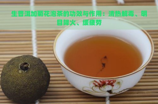 生普洱加菊花泡茶的功效与作用：清热解毒、明目降火、缓疲劳