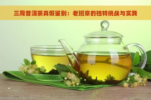 三爬普洱茶真假鉴别：老班章的独特挑战与实践