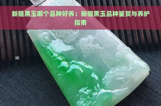 新疆黑玉哪个品种好养：新疆黑玉品种鉴赏与养护指南