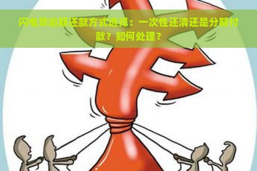 闪电贷逾期还款方式选择：一次性还清还是分期付款？如何处理？