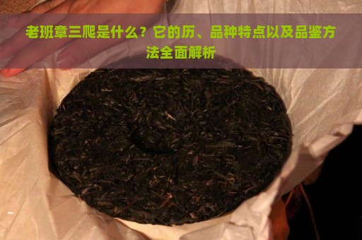 老班章三爬是什么？它的历、品种特点以及品鉴方法全面解析