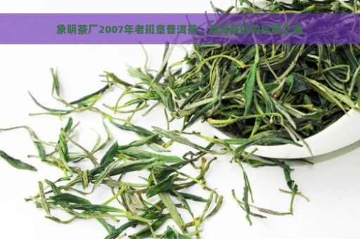 象明茶厂2007年老班章普洱茶：勐海茶区的珍稀之选