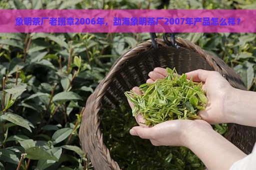 象明茶厂老班章2006年，勐海象明茶厂2007年产品怎么样？