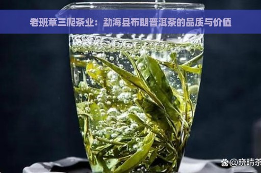 老班章三爬茶业：勐海县布朗普洱茶的品质与价值