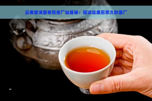 云南普洱茶老班章厂址揭秘：探访这座历悠久的茶厂