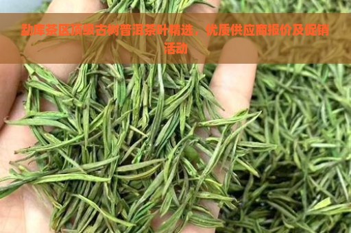 勐库茶区顶级古树普洱茶叶精选，优质供应商报价及促销活动