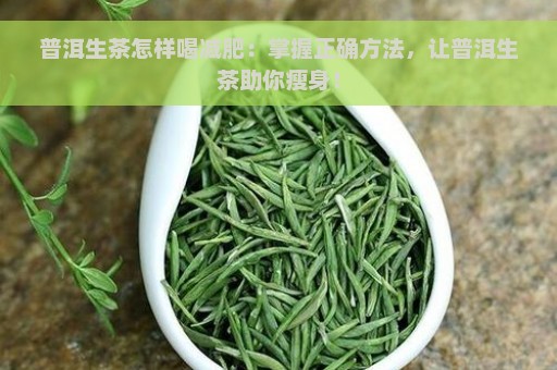 普洱生茶怎样喝减肥：掌握正确方法，让普洱生茶助你瘦身！