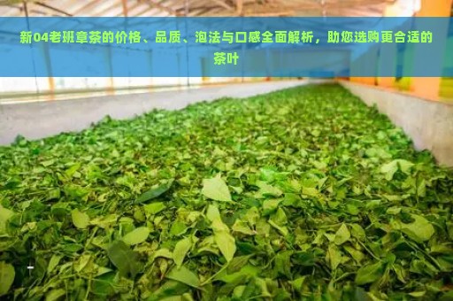 新04老班章茶的价格、品质、泡法与口感全面解析，助您选购更合适的茶叶