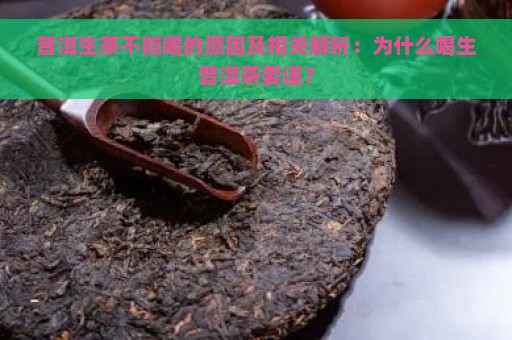 普洱生茶不能喝的原因及相关解析：为什么喝生普洱茶要谨？