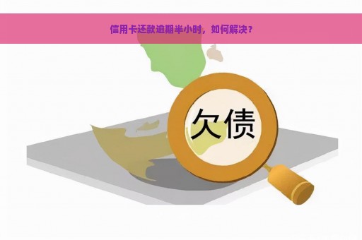 信用卡还款逾期半小时，如何解决？