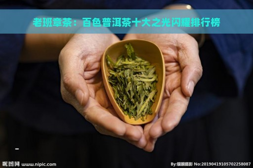 老班章茶：百色普洱茶十大之光闪耀排行榜