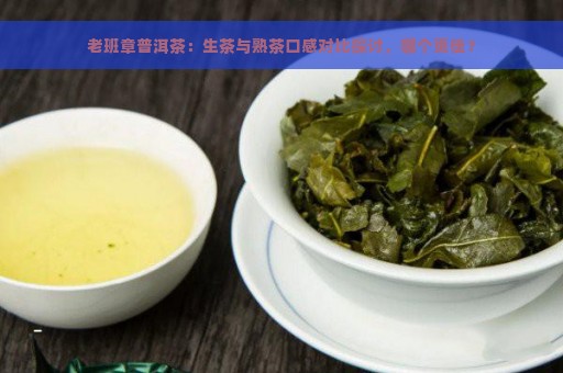 老班章普洱茶：生茶与熟茶口感对比探讨，哪个更佳？