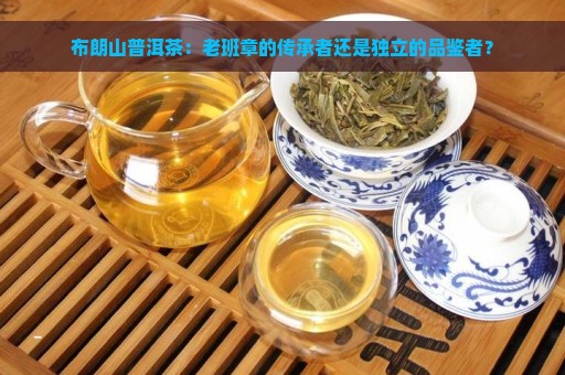 布朗山普洱茶：老班章的传承者还是独立的品鉴者？