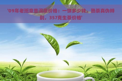 '09年老班章普洱茶价格：一饼多少钱，熟茶真伪辨别，357克生茶价格'