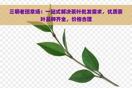 三明老班章场：一站式解决茶叶批发需求，优质茶叶品种齐全，价格合理