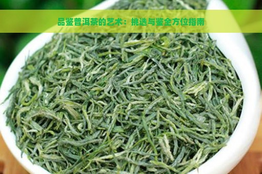 品鉴普洱茶的艺术：挑选与鉴全方位指南