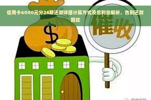 信用卡6000元分24期还款详细计算方式及总利息解析，告别还款困扰