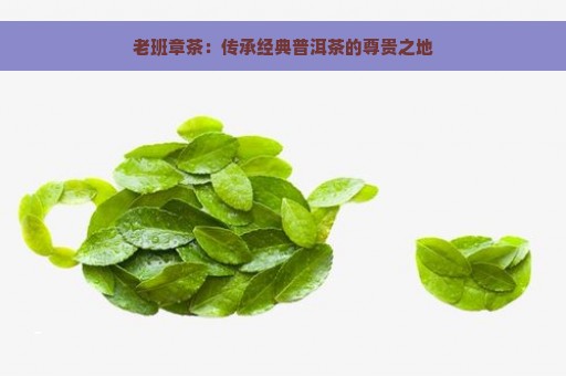 老班章茶：传承经典普洱茶的尊贵之地