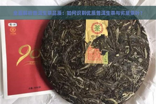 全面解析普洱生茶品质：如何识别优质普洱生茶与劣质茶叶？