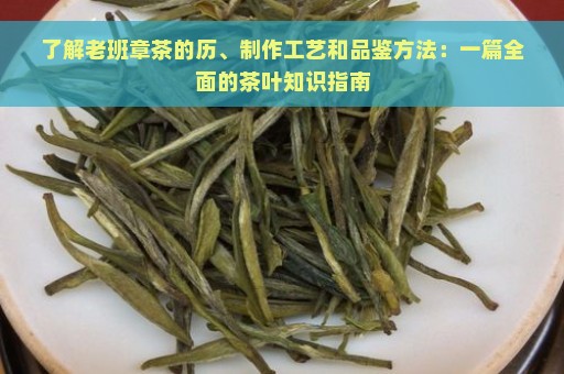 了解老班章茶的历、制作工艺和品鉴方法：一篇全面的茶叶知识指南