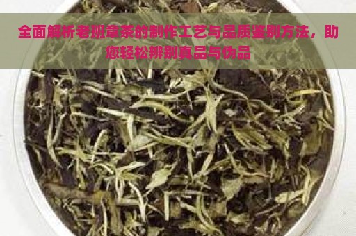 全面解析老班章茶的制作工艺与品质鉴别方法，助您轻松辨别真品与伪品