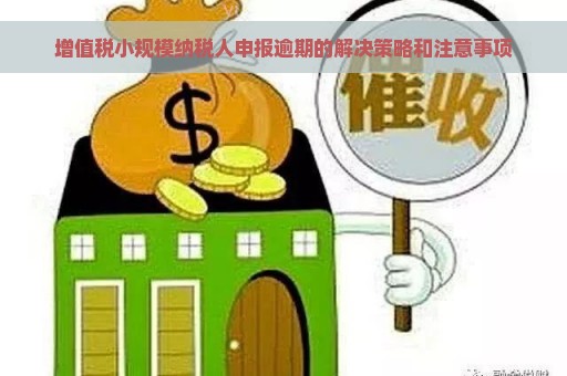 增值税小规模纳税人申报逾期的解决策略和注意事项