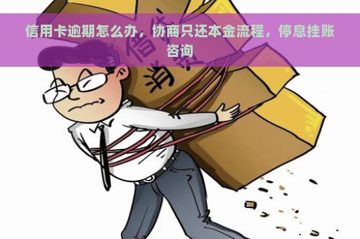 信用卡逾期怎么办，协商只还本金流程，停息挂账咨询