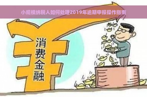 小规模纳税人如何处理2019年逾期申报操作指南