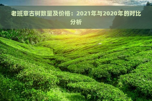 老班章古树数量及价格：2021年与2020年的对比分析