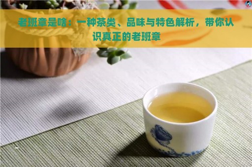 老班章是啥：一种茶类、品味与特色解析，带你认识真正的老班章