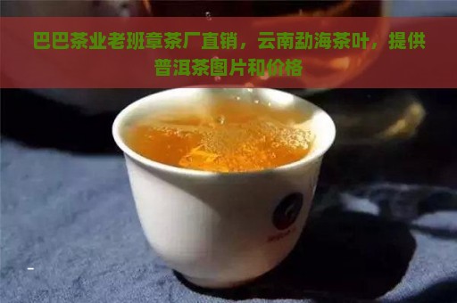 巴巴茶业老班章茶厂直销，云南勐海茶叶，提供普洱茶图片和价格