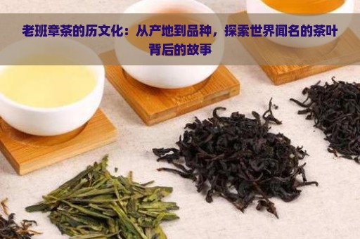 老班章茶的历文化：从产地到品种，探索世界闻名的茶叶背后的故事