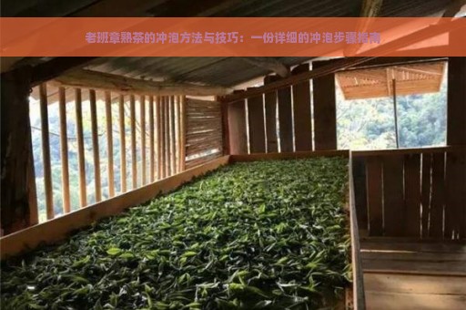 老班章熟茶的冲泡方法与技巧：一份详细的冲泡步骤指南