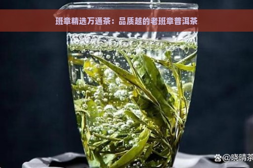 班章精选万通茶：品质越的老班章普洱茶