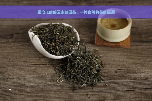 澜沧江畔的云南普洱茶：一片自然的茶叶绿洲