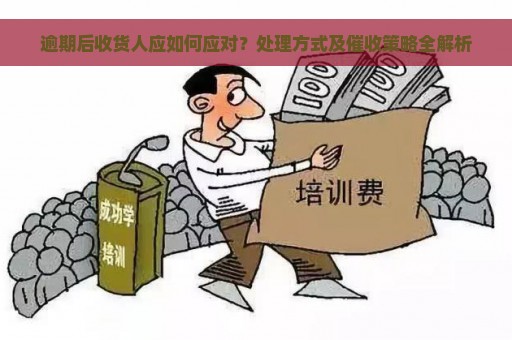 逾期后收货人应如何应对？处理方式及催收策略全解析