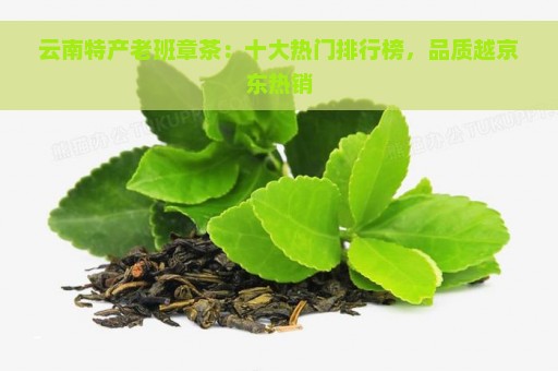 云南特产老班章茶：十大热门排行榜，品质越京东热销