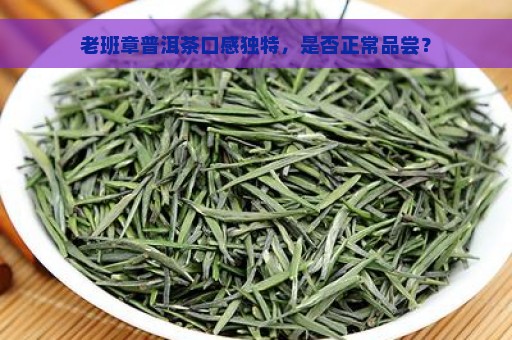 老班章普洱茶口感独特，是否正常品尝？