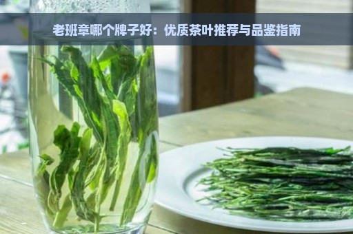 老班章哪个牌子好：优质茶叶推荐与品鉴指南