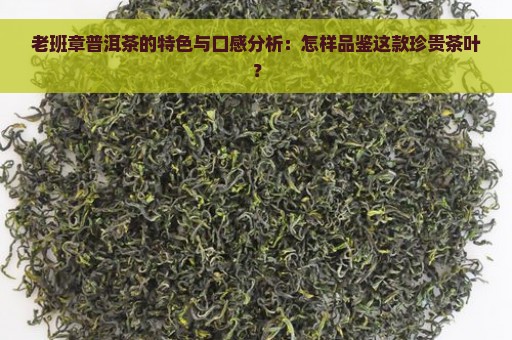 老班章普洱茶的特色与口感分析：怎样品鉴这款珍贵茶叶？