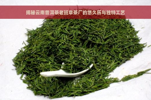 揭秘云南普洱茶老班章茶厂的悠久历与独特工艺